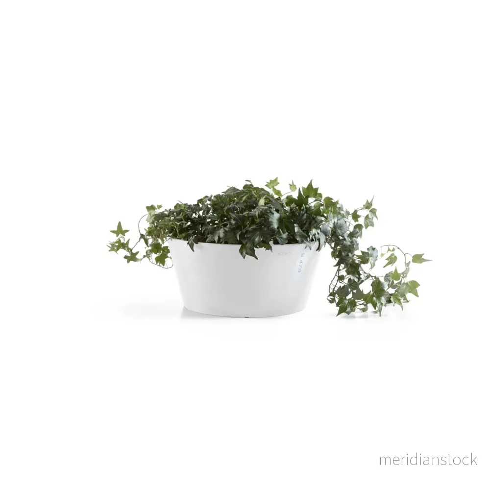 Blomkruka Frankfurt 30cm vit Blomkruka Frankfurt 30cm vit