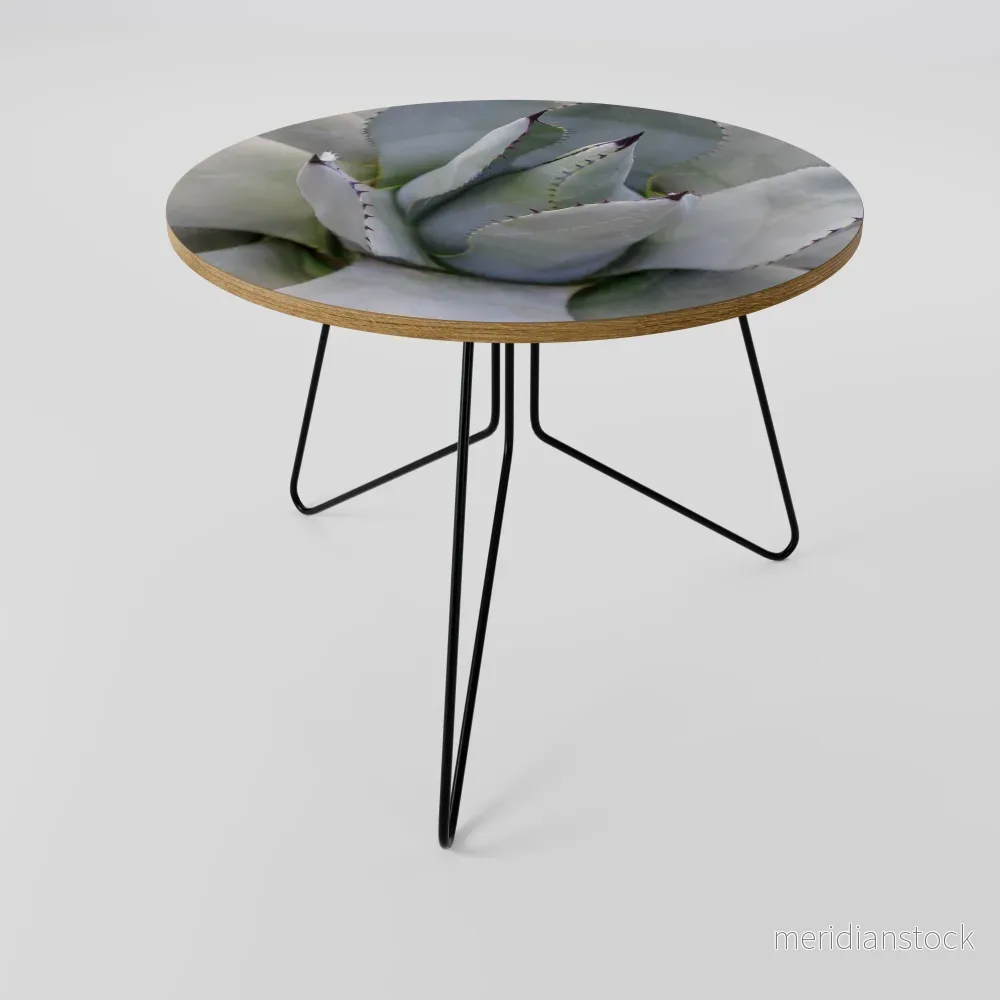 AGAVE ELEGANCE Soffbord AGAVE ELEGANCE Soffbord