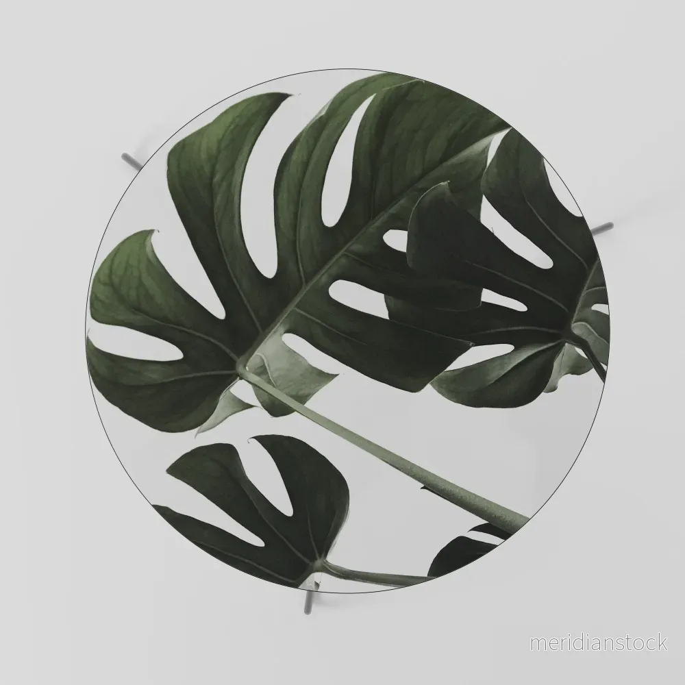 FOLIAGE FUSION Soffbord - Bild 2