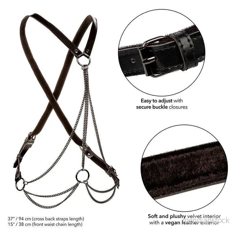 CALEXOTICS - EUPHORIA MULTICHAIN HARNESS PREMIUM - Bild 2