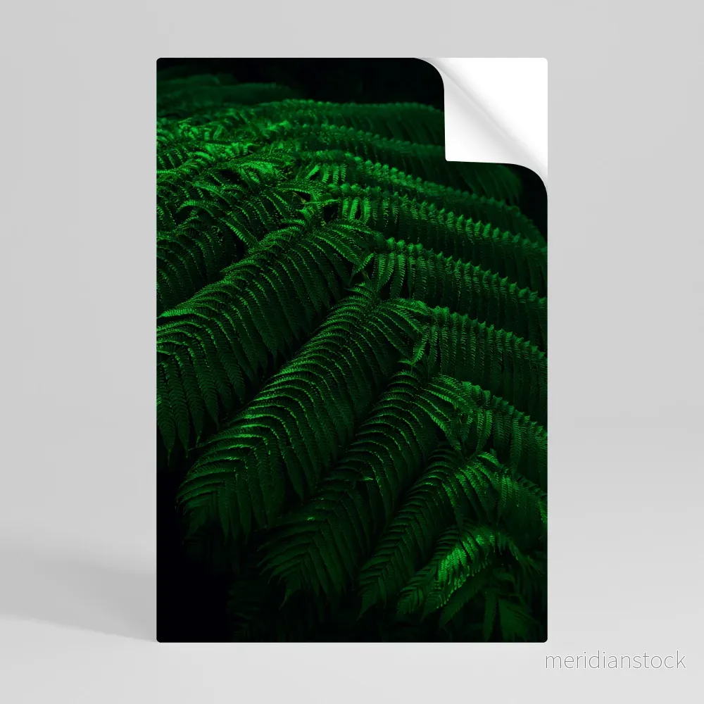 FERN FANTASY Självhäftande Vertikal Poster