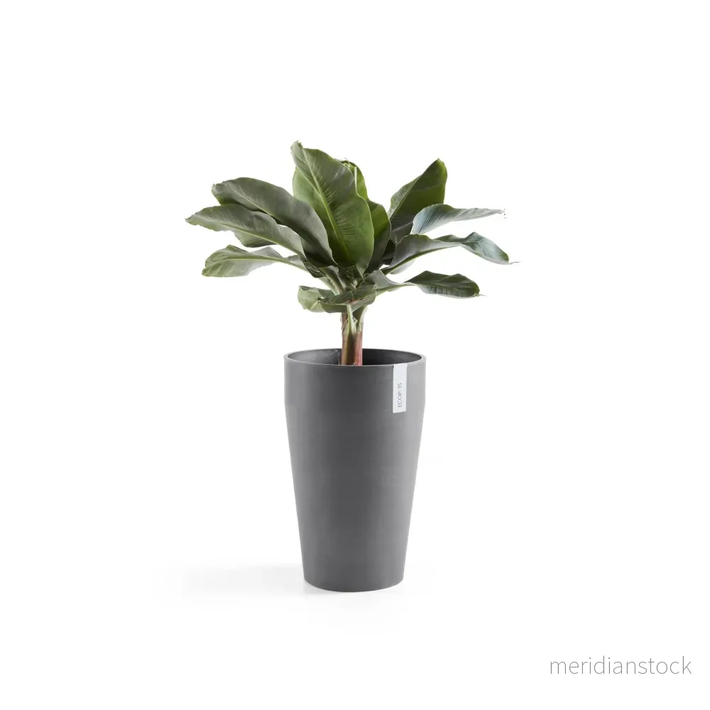 Kruka Sankara medelhög 55cm grå - Bild 2