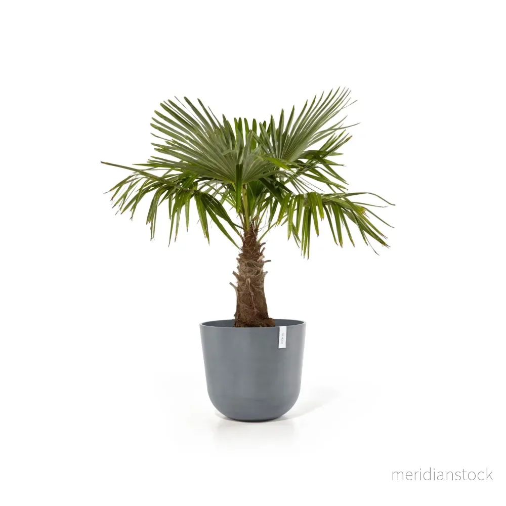 Kruka Oslo 55cm blågrå