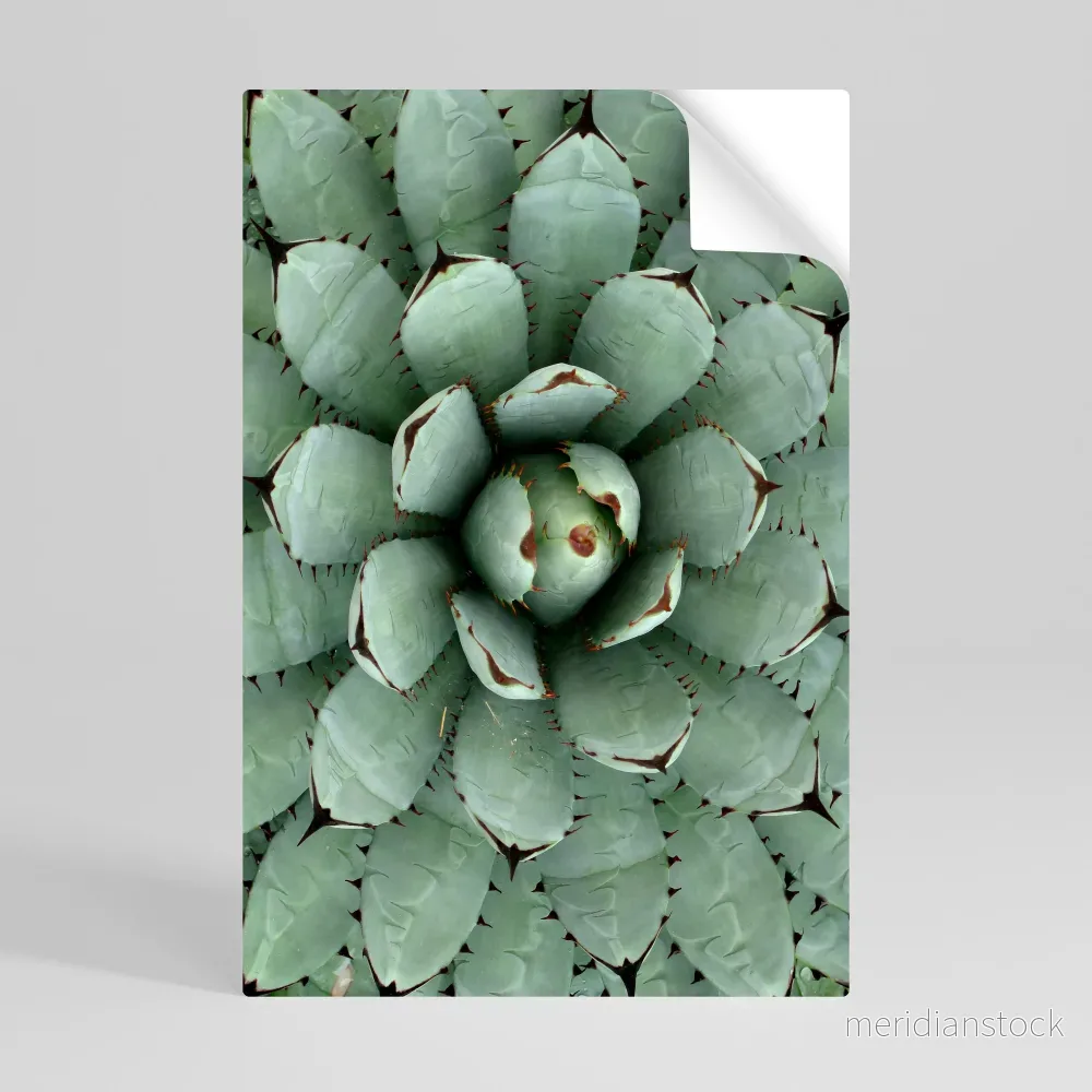 SUCCULENT SYMMETRY Självhäftande Vertikal Poster - Bild 3