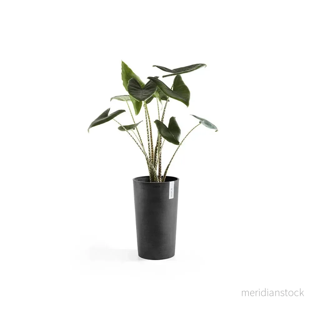 Kruka Amsterdam medelhög 50cm mörkgrå