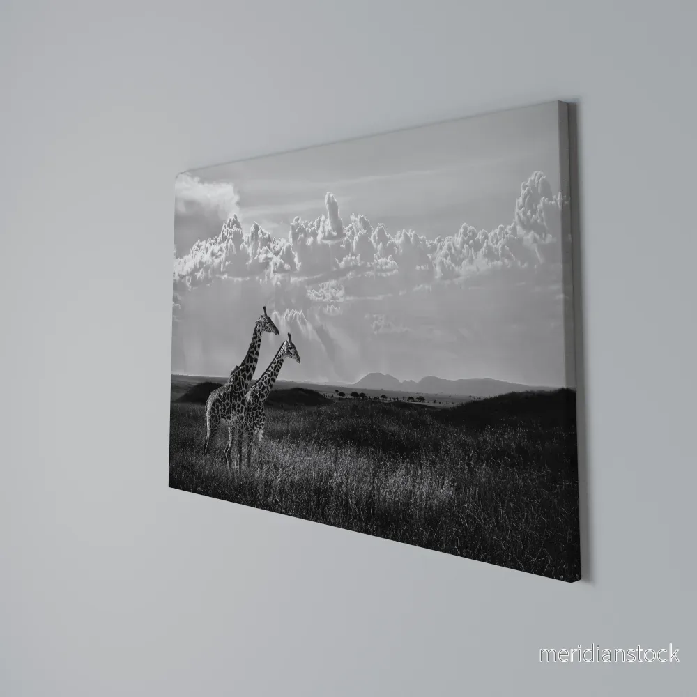 ELEGANT HEIGHTS UNVEILED Horizontal Canvas Print - Bild 3