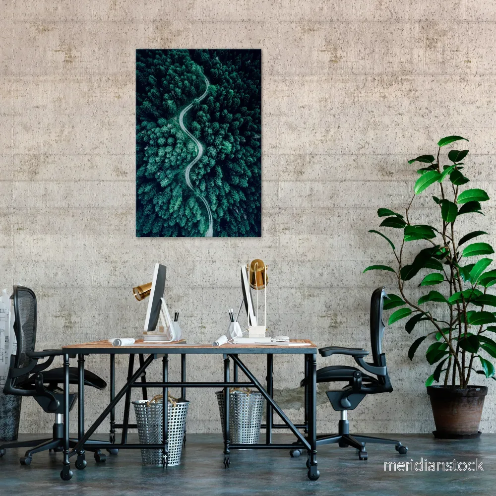 FORESTED SERPENTINE ROUTE Vertical Canvas Print - Bild 2