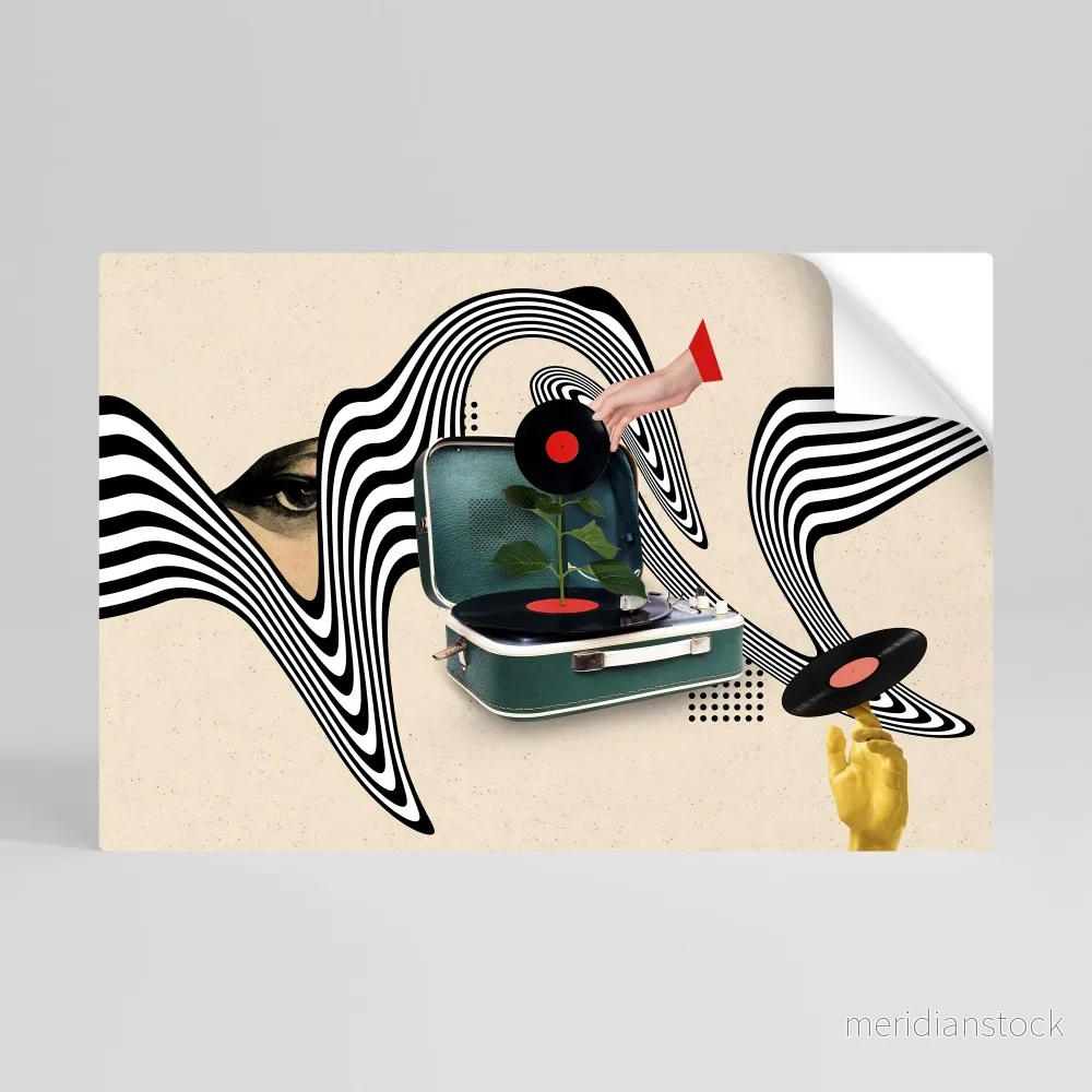 VINYL VARIATION Självhäftande Horisontell Poster - Bild 2
