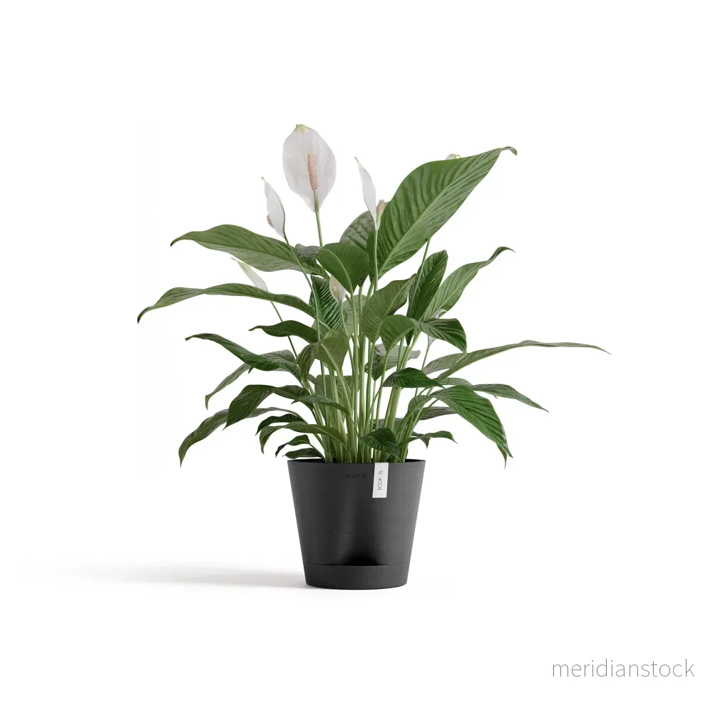 Kruka Venedig 2.0 20cm mörkgrå