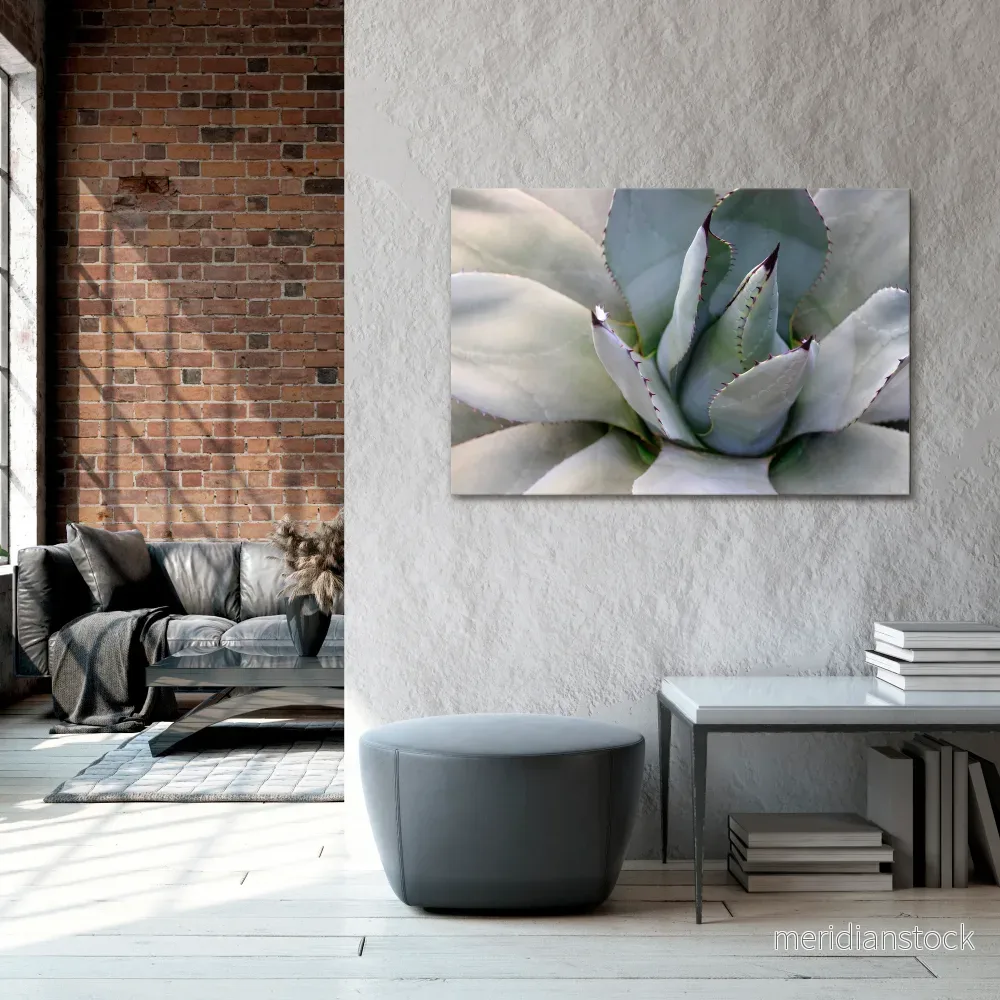 AGAVE ELEGANCE Horizontal Canvas Print - Bild 2