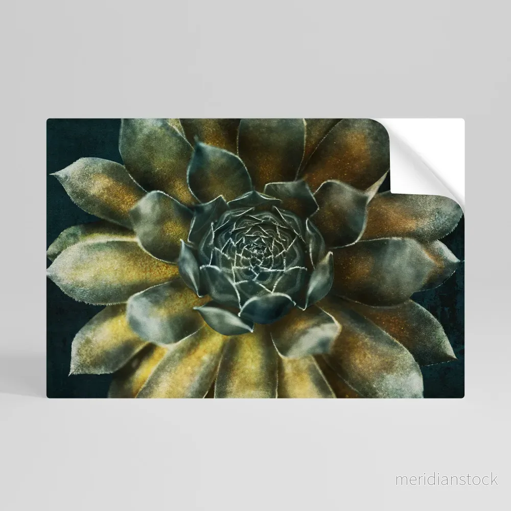 MYSTICAL SUCCULENT WHIRL Självhäftande Horisontell Poster MYSTICAL SUCCULENT WHIRL Självhäftande Horisontell Poster
