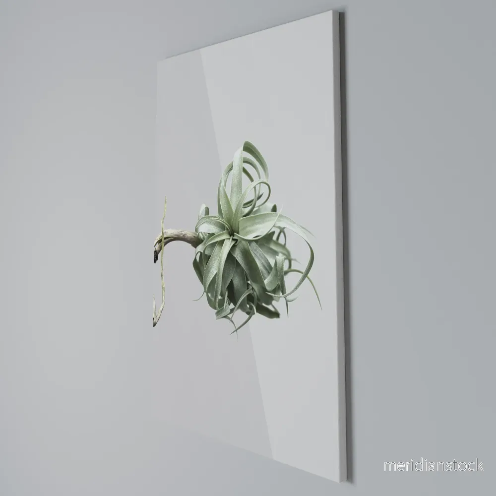 TANGLE OF NATURE Vertical Canvas Print - Bild 3