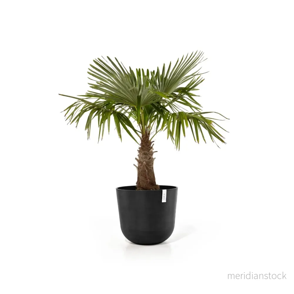 Kruka Oslo 75cm mörkgrå