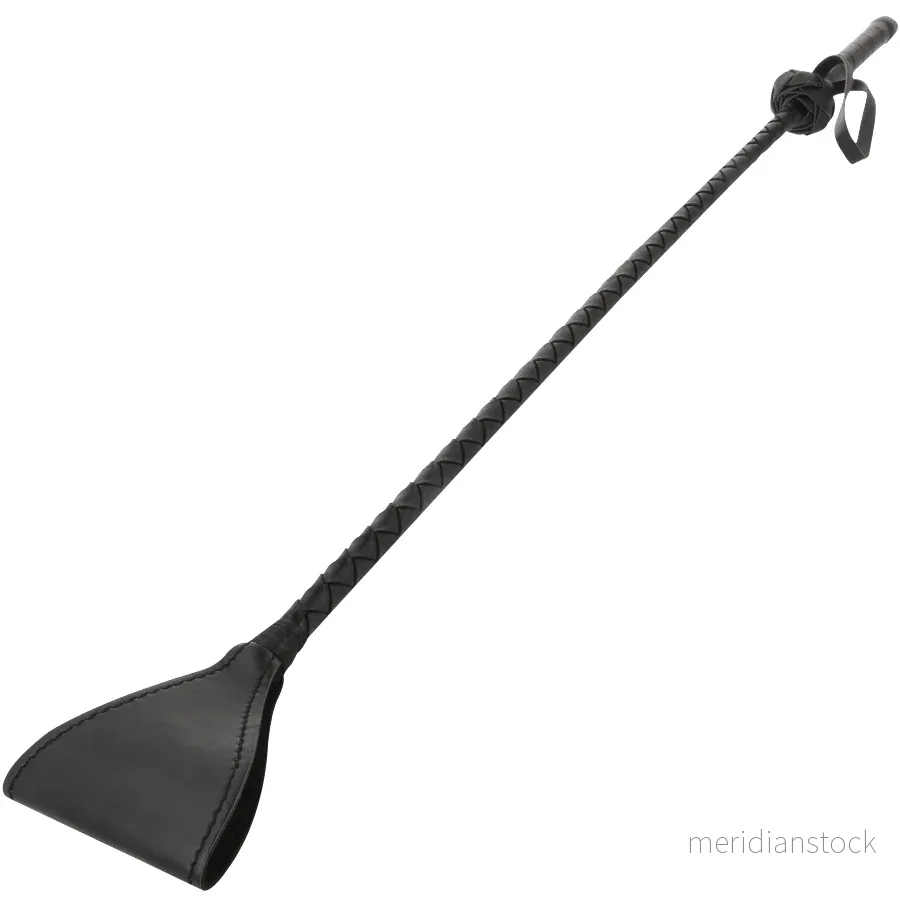 DARKNESS - BLACK WHIPPER WHIP - Bild 2