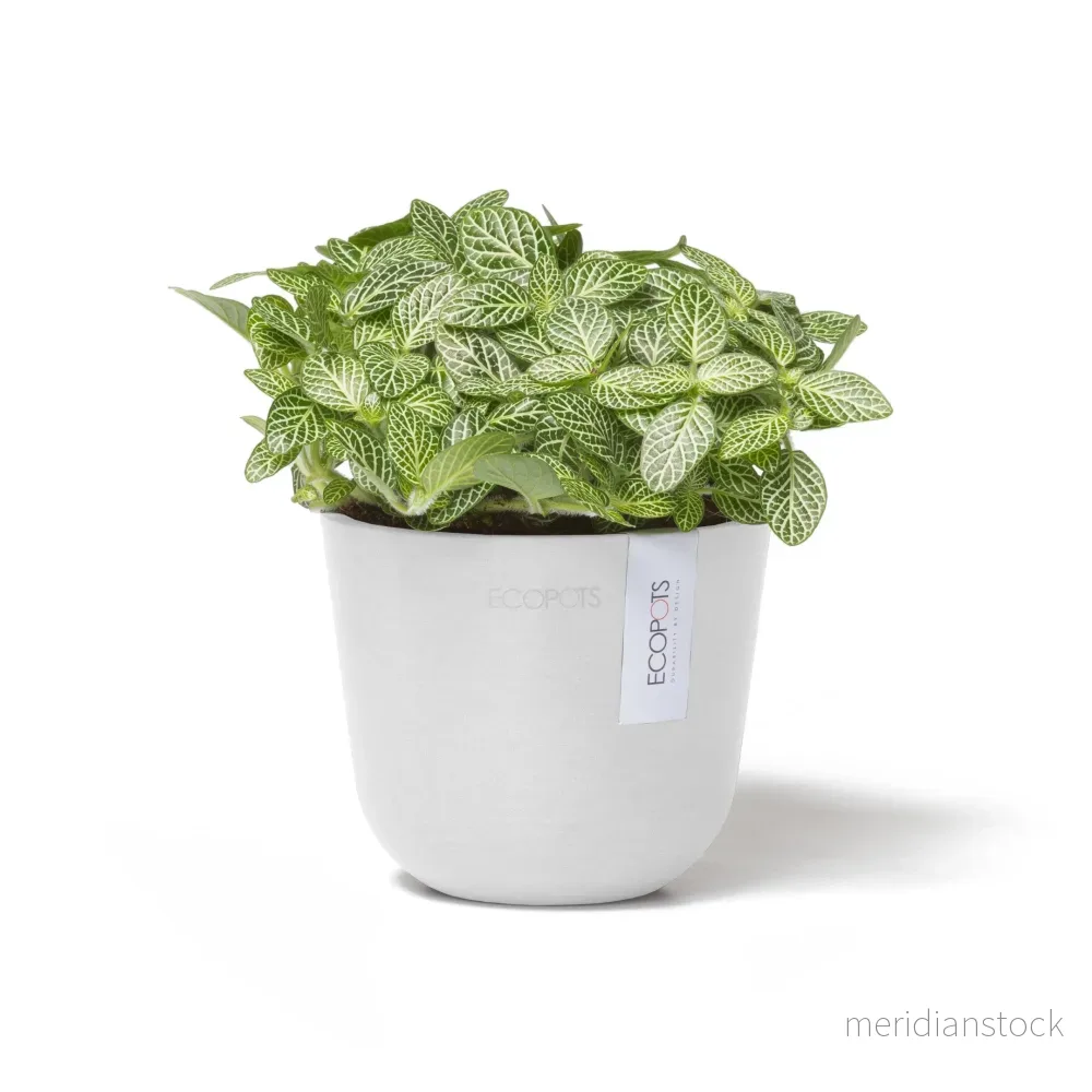 Kruka Oslo 11,5cm vit - Bild 3