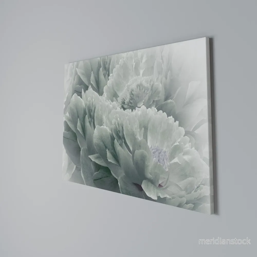 TREE PEONIES Horizontal Canvas Print - Bild 3