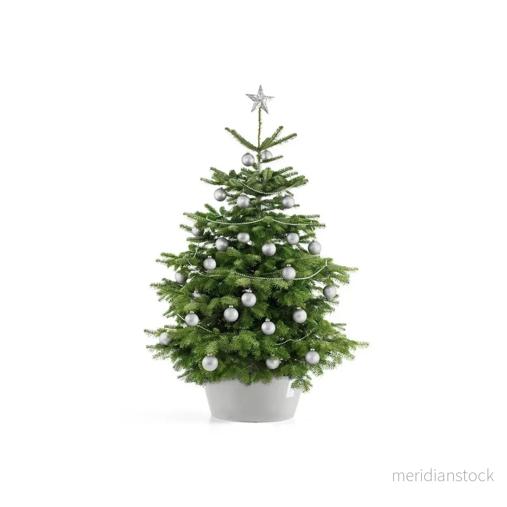 Julgransben XL vit grå