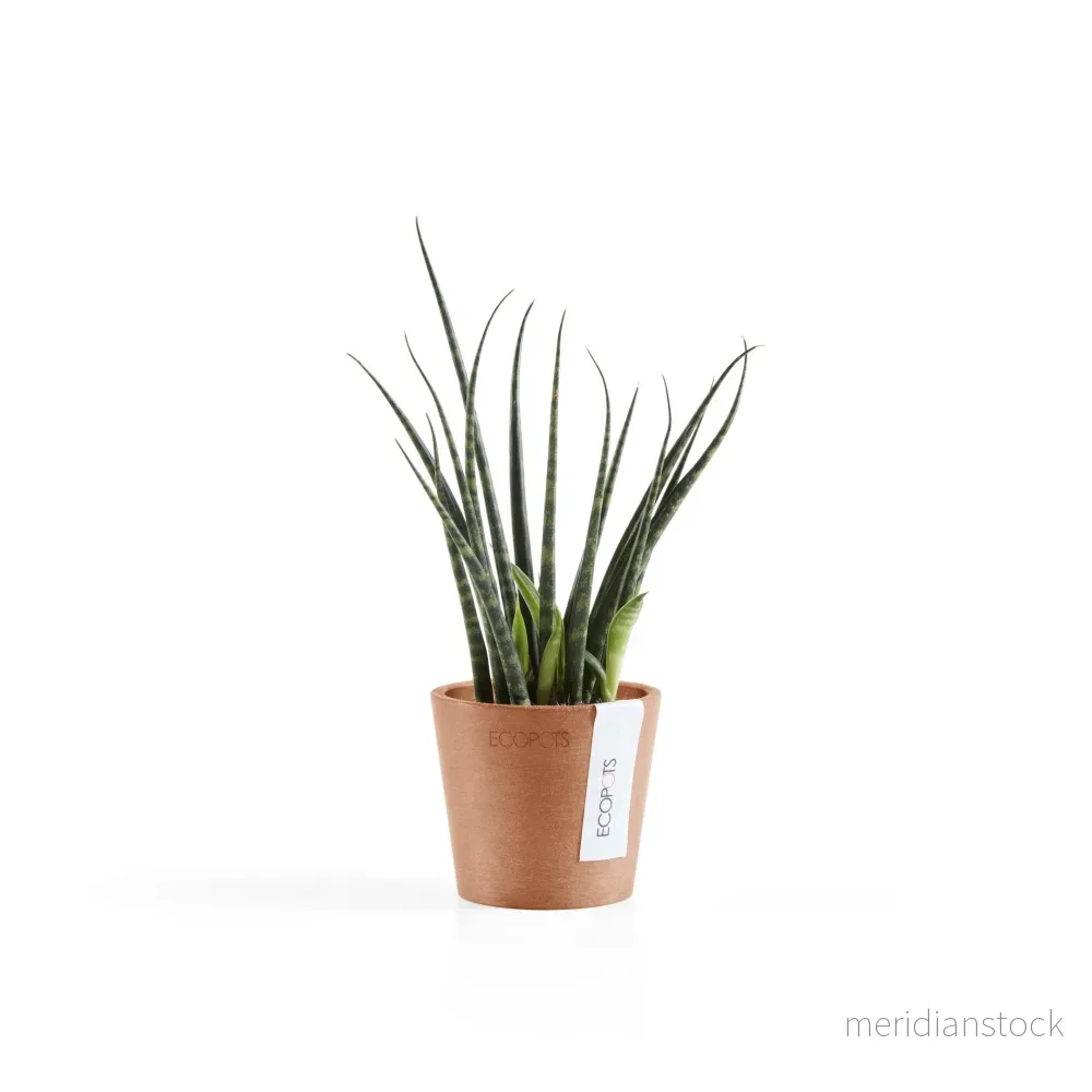 Kruka Amsterdam 8cm terrakotta Kruka Amsterdam 8cm terrakotta
