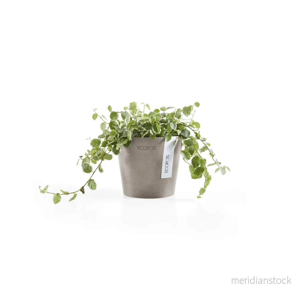 Kruka Amsterdam 10.5cm taupe - Bild 3
