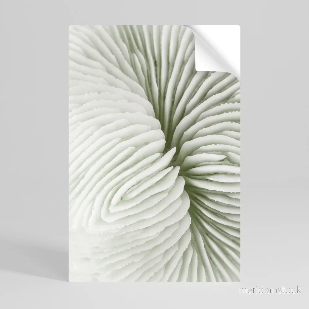 NATURE'S SYMMETRY Självhäftande Vertikal Poster - Bild 3