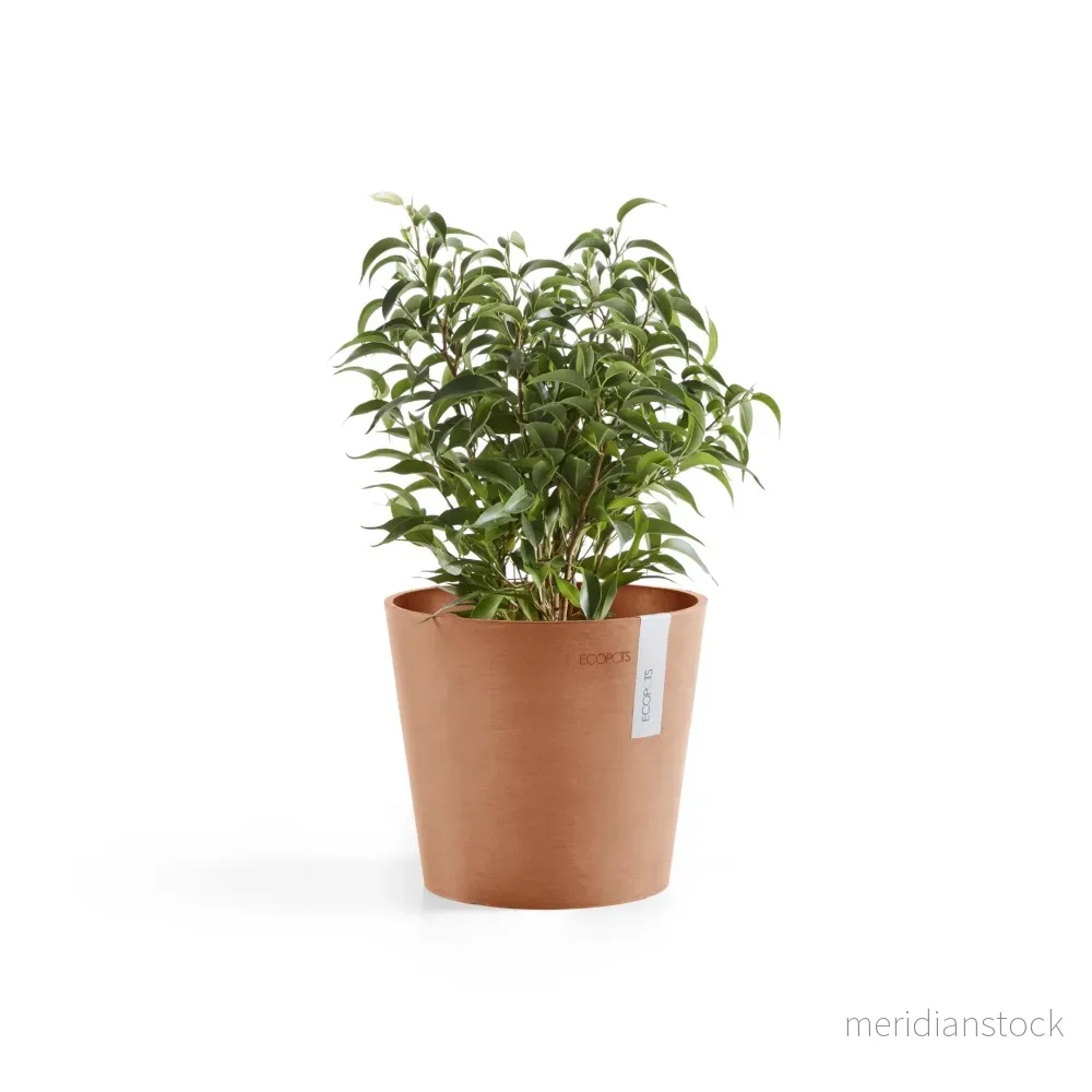 Kruka Amsterdam 17cm terrakotta Kruka Amsterdam 17cm terrakotta