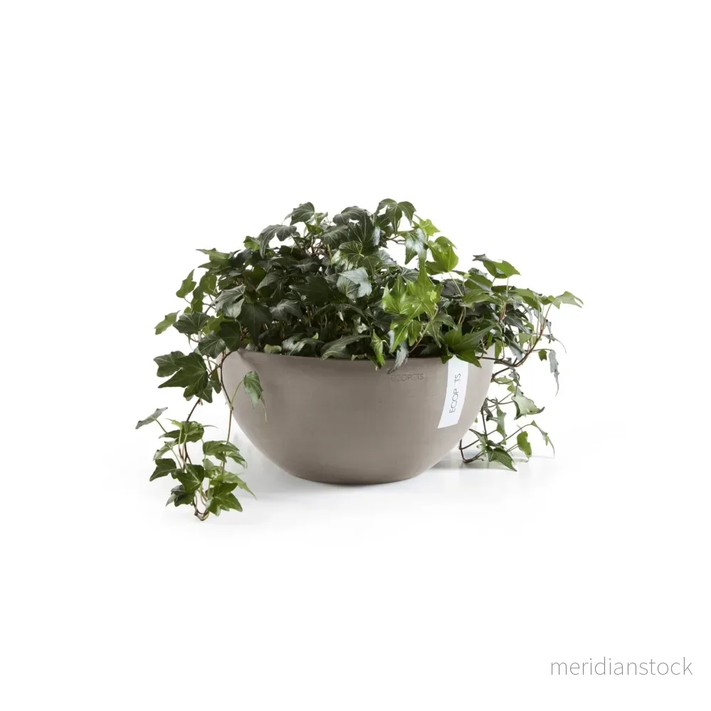 Blomkruka Bryssel 30cm Taupe - Bild 2