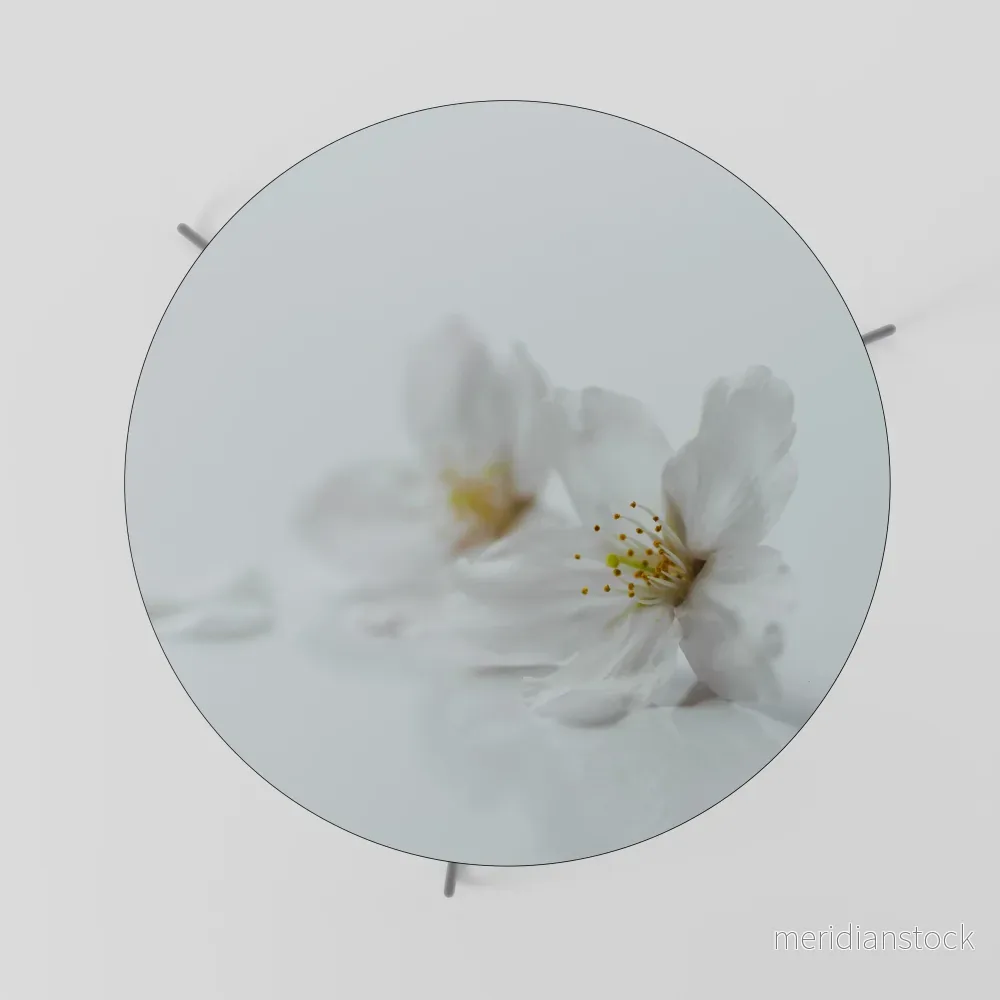 FLEETING WHITE PETALS Soffbord - Bild 2
