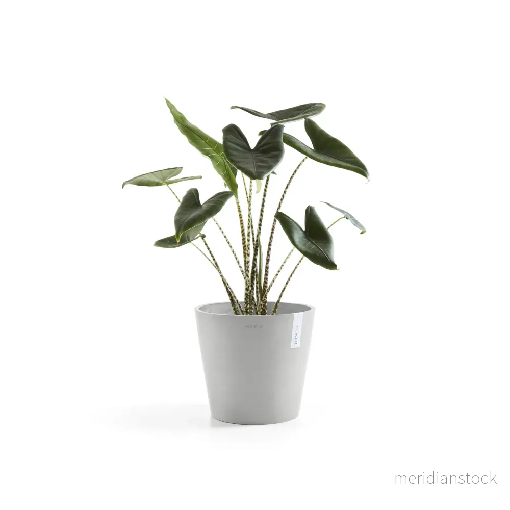Kruka Amsterdam 30cm med bottenbevattningdel vitgrå Kruka Amsterdam 30cm med bottenbevattningdel vitgrå