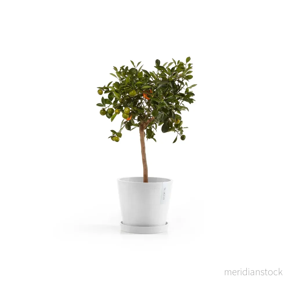 Kruka Amsterdam 20cm vit - Bild 2