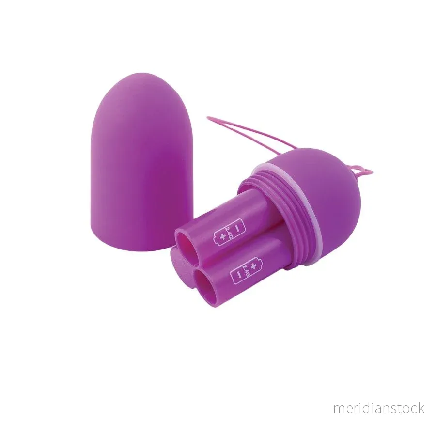B SWISH - BNAUGHTY UNLEASHED CLASSIC LILAC REMOTE CONTROL - Bild 2