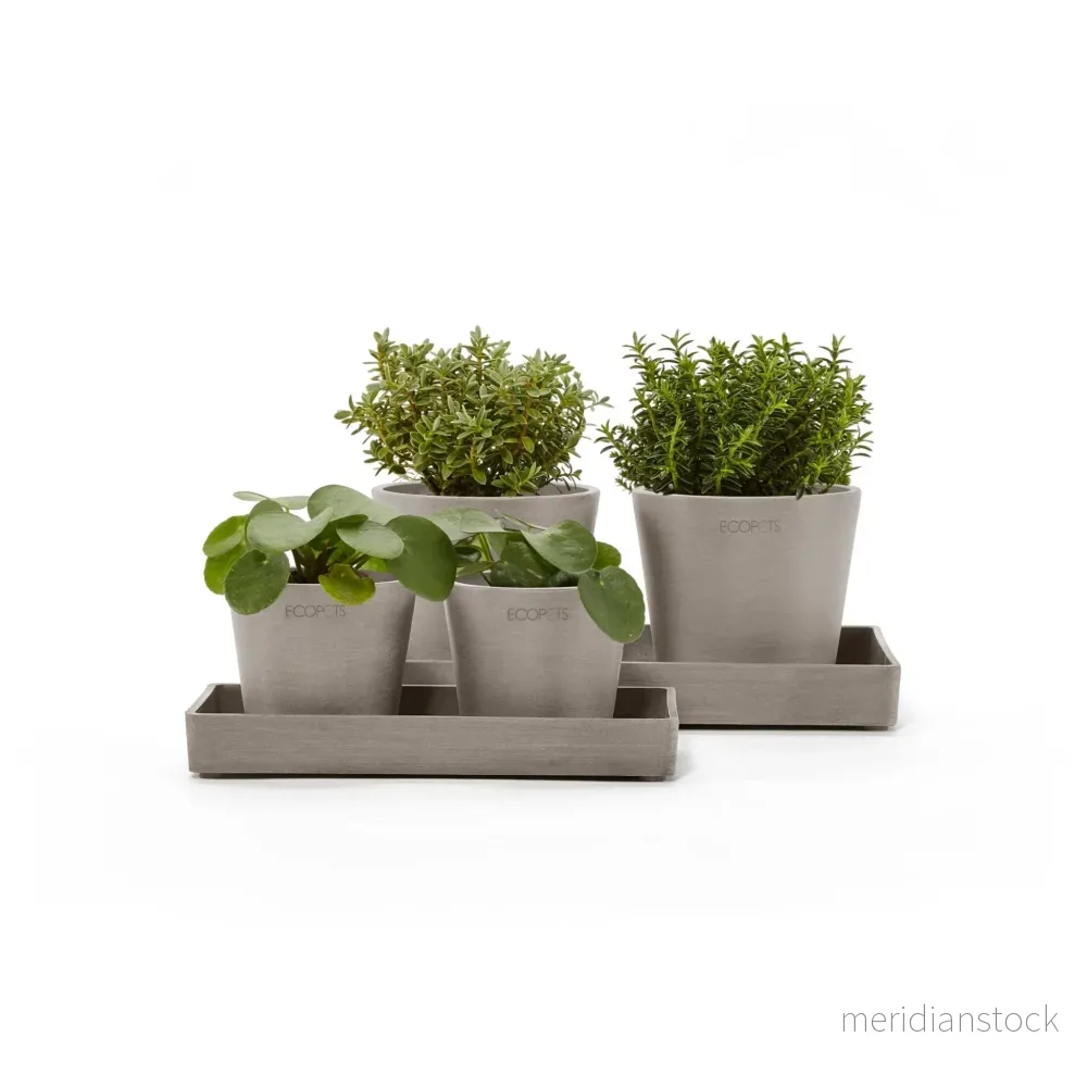 Kruka presentationsbricka 20cm taupe - Bild 2