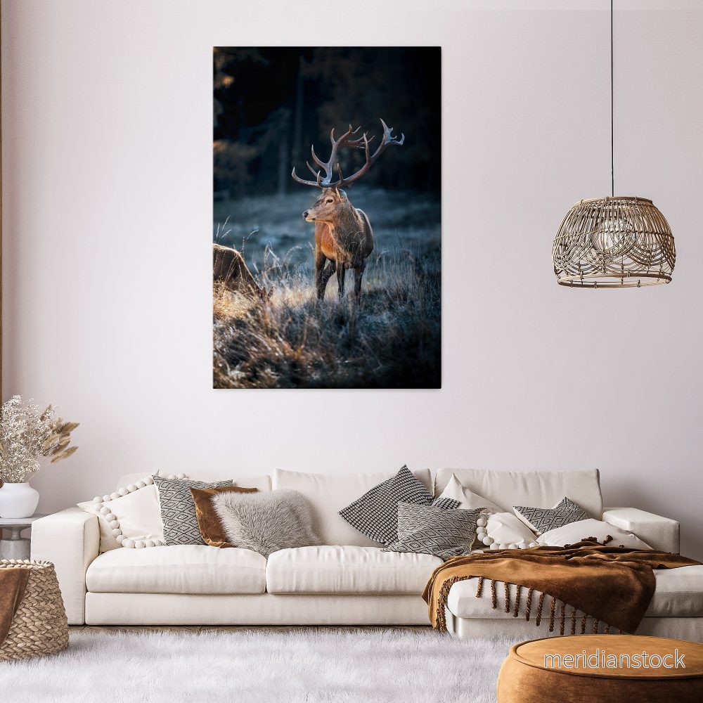 ANTLERED REGALITY Vertical Canvas Print ANTLERED REGALITY Vertical Canvas Print