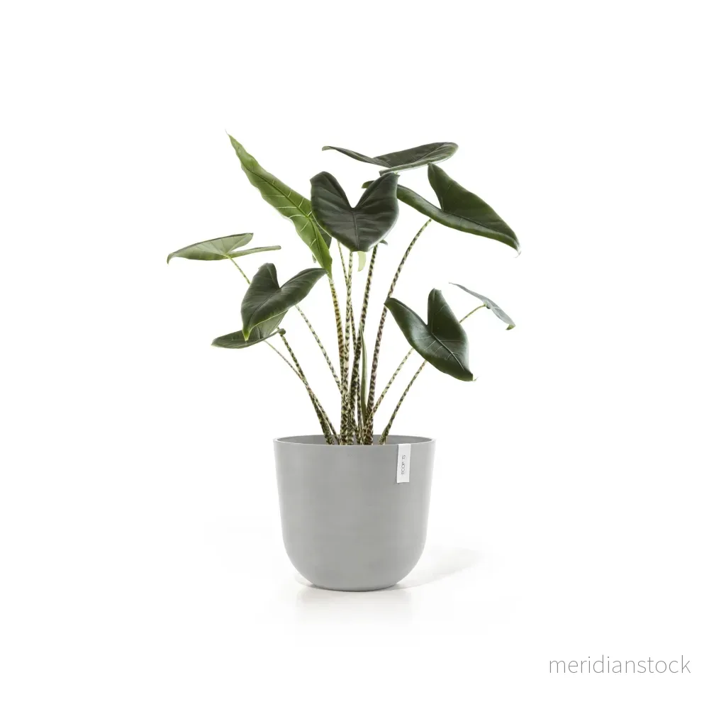 Kruka Oslo 45cm vitgrå