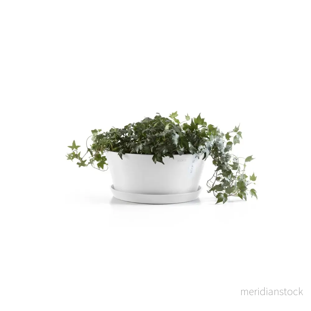 Blomkruka Frankfurt 30cm vit - Bild 2