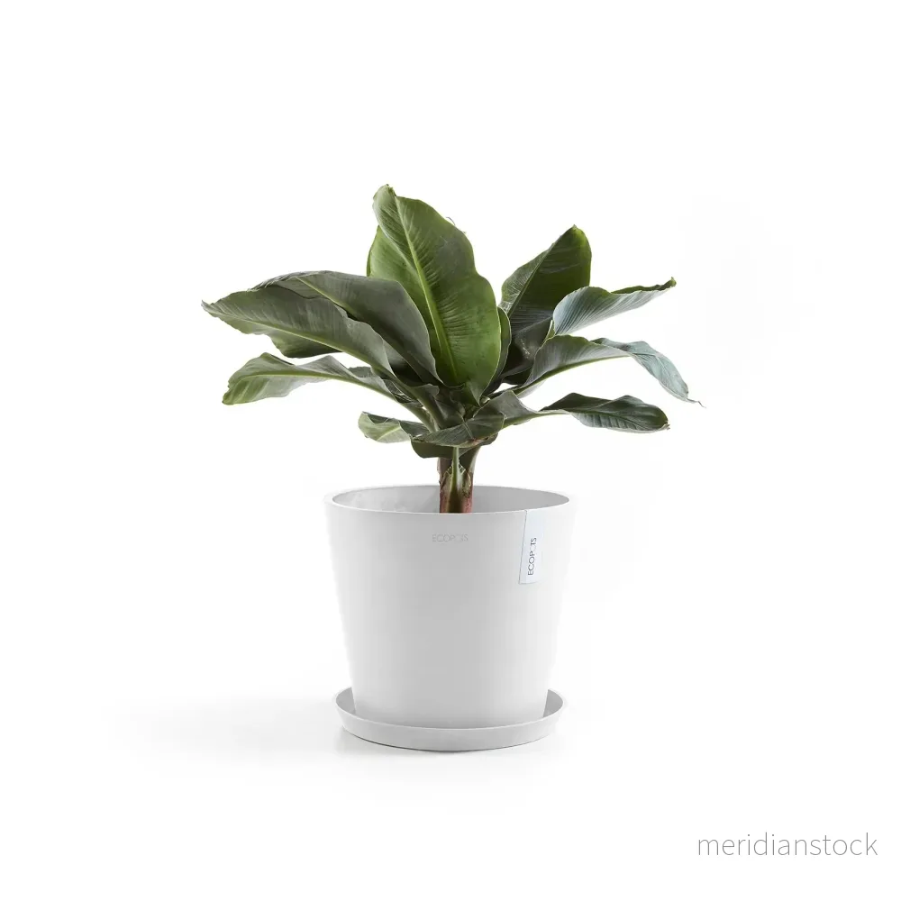 Kruka Amsterdam 25cm vit - Bild 2