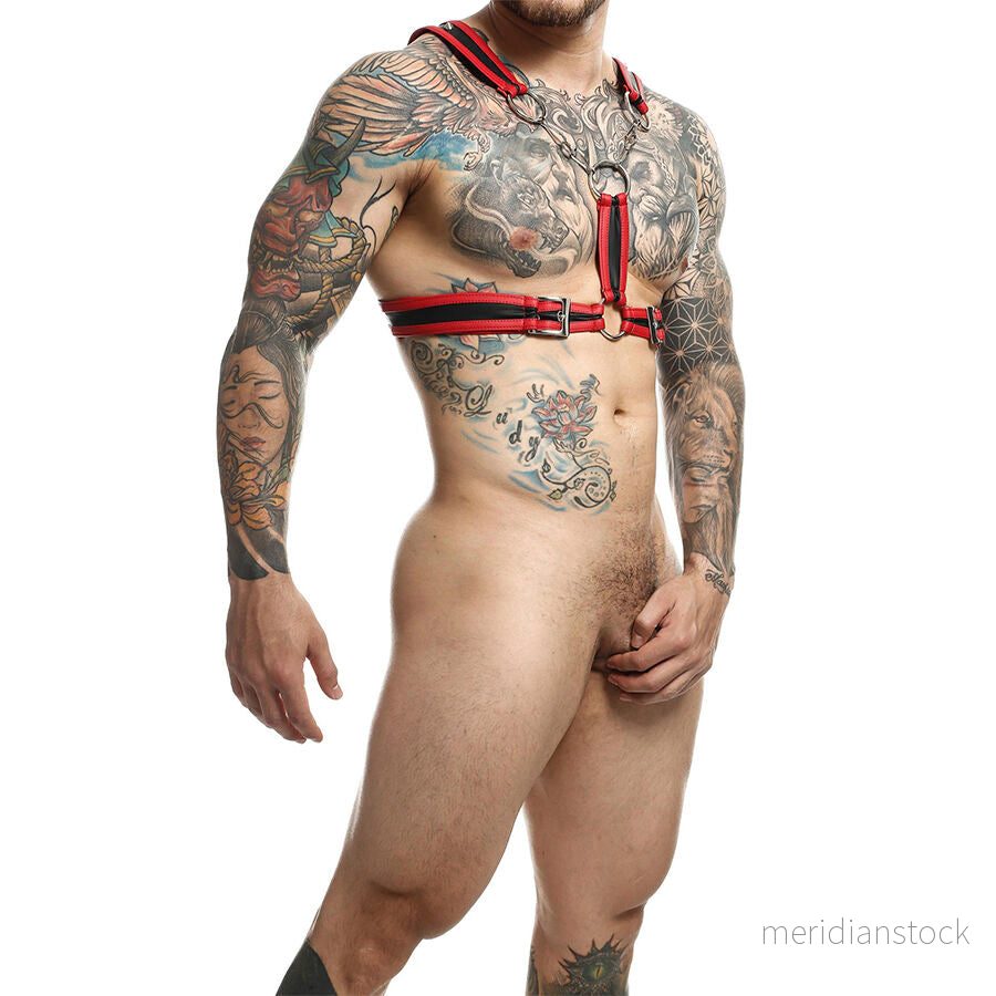 MOB - DNGEON RED HARNESS WITH CHAINS ONE SIZE - Bild 3