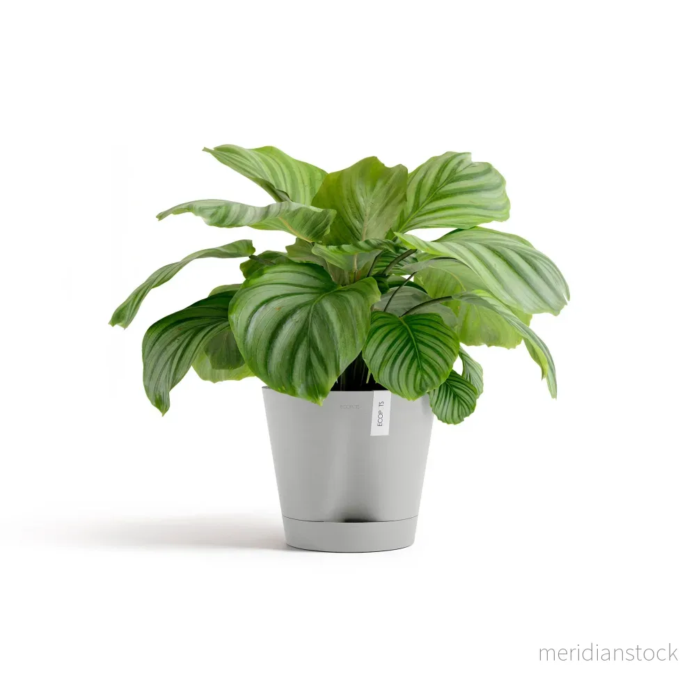Kruka Venedig 2.0 30cm vitgrå