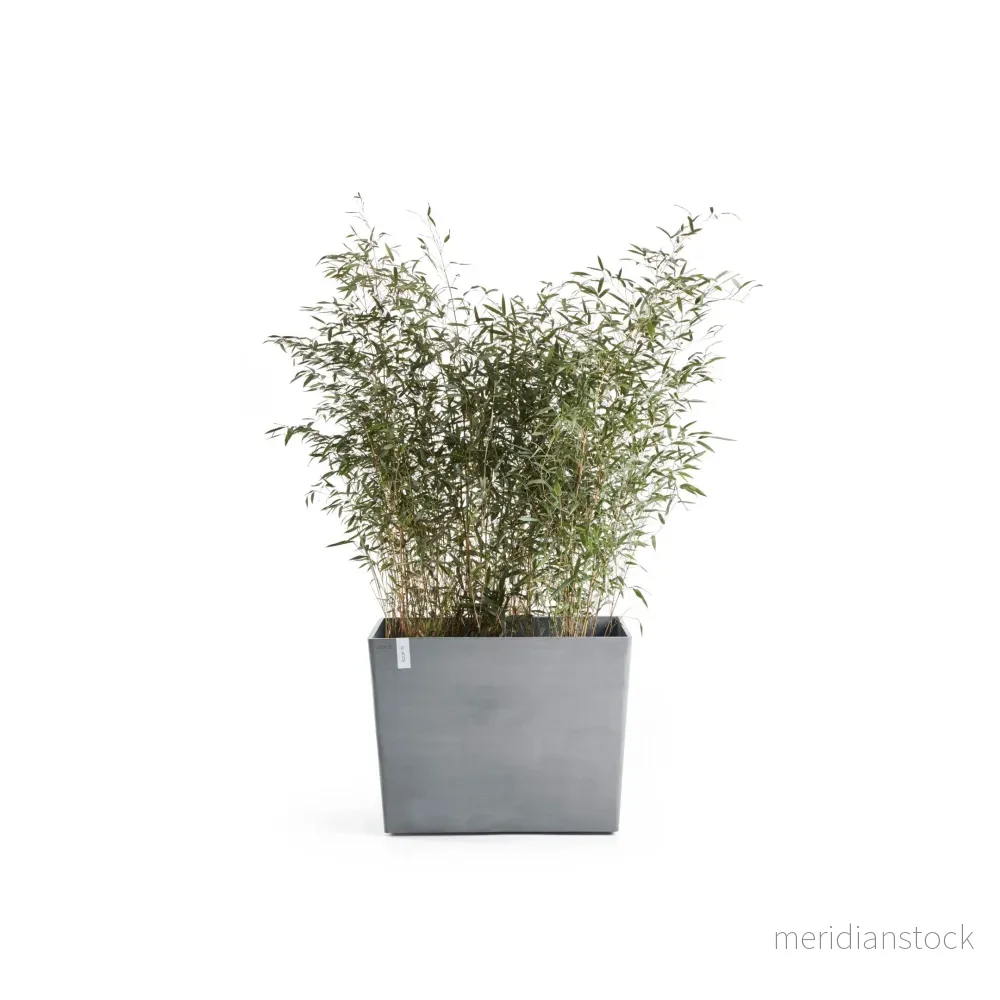 Kruka Paris med hjul 85cm blågrå