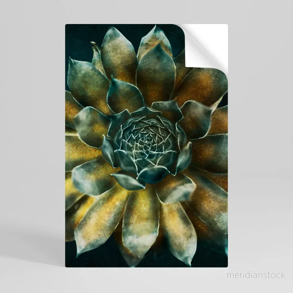 MYSTICAL SUCCULENT WHIRL Självhäftande Vertikal Poster - Bild 3