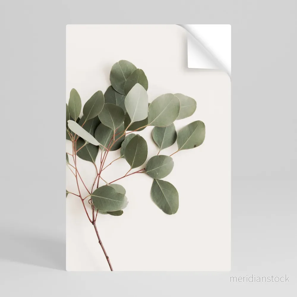 EUCALYPTUS BRANCH Självhäftande Vertikal Poster - Bild 2