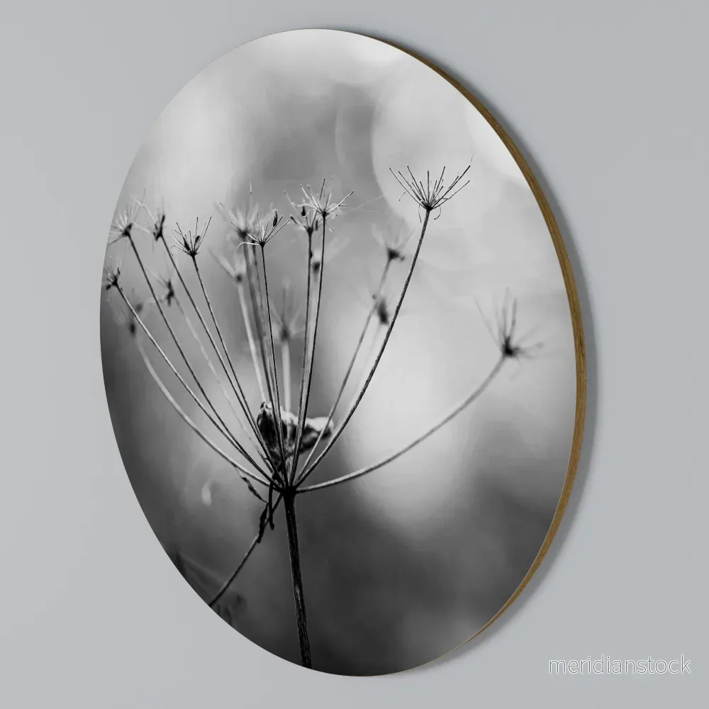 MINIMALIST BLOOM Rund väggdekor