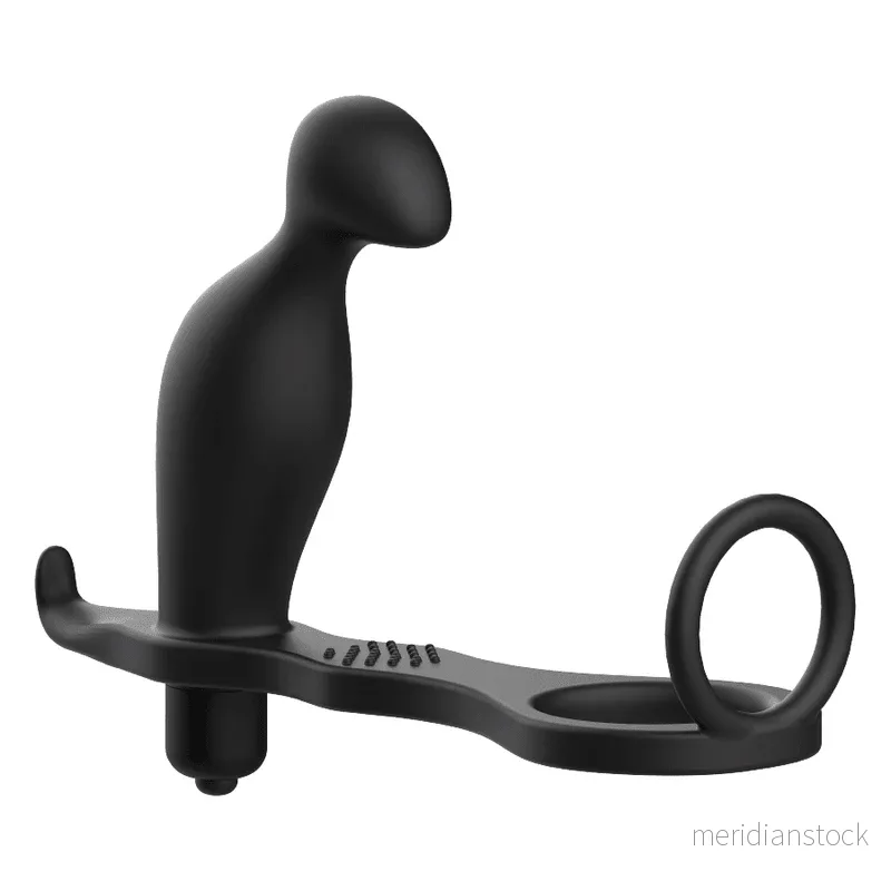 ADDICTED TOYS - ANAL PLUG WITH BLACK SILICONE RING 12 CM - Bild 2
