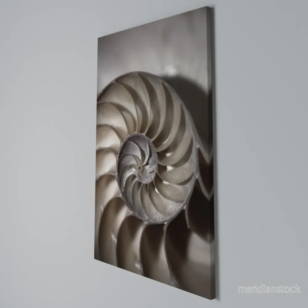 WHISPERS OF SHELLS Vertical Canvas Print - Bild 3