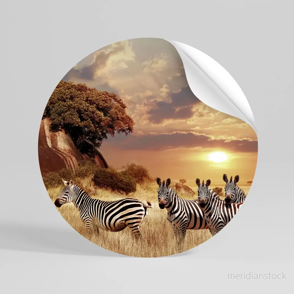 ZEBRA SUNSET SERENADE Rund väggdekal - Bild 3