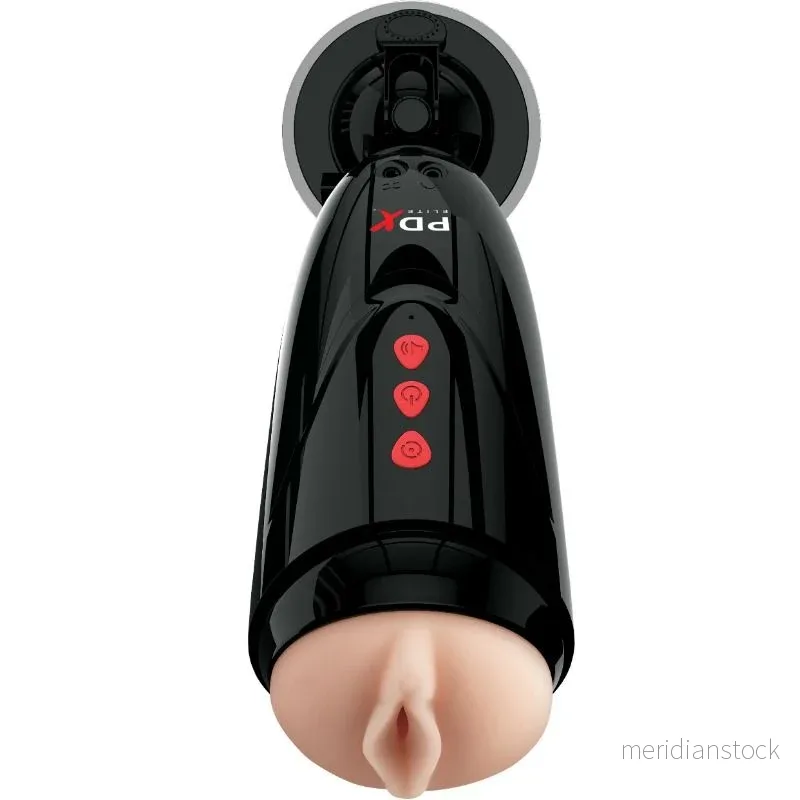 PDX ELITE - DIRTY TALK STARTER STROKER - Bild 2