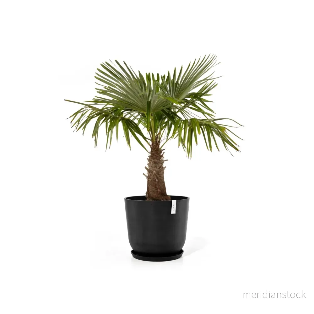 Kruka Oslo 65cm mörkgrå - Bild 3