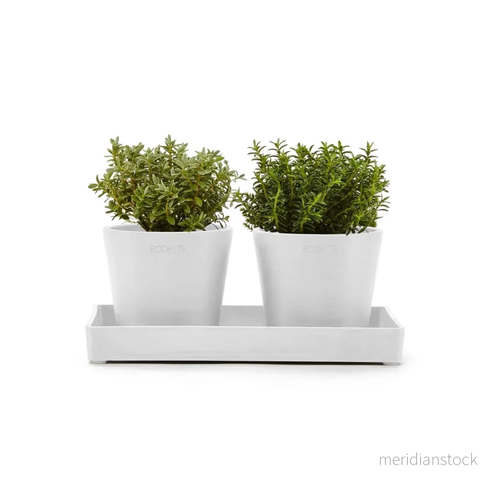 Kruka presentationsbricka 25cm vit Kruka presentationsbricka 25cm vit