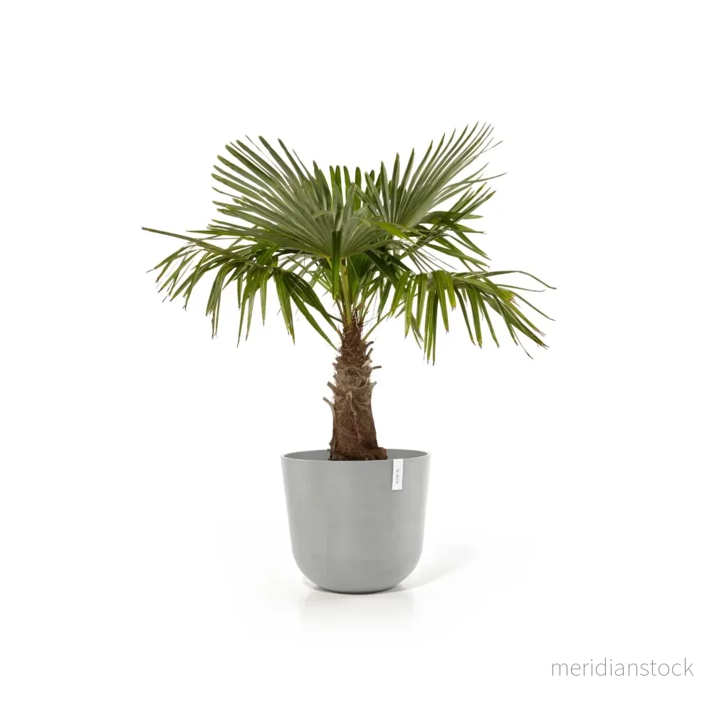 Kruka Oslo 65cm vit grå