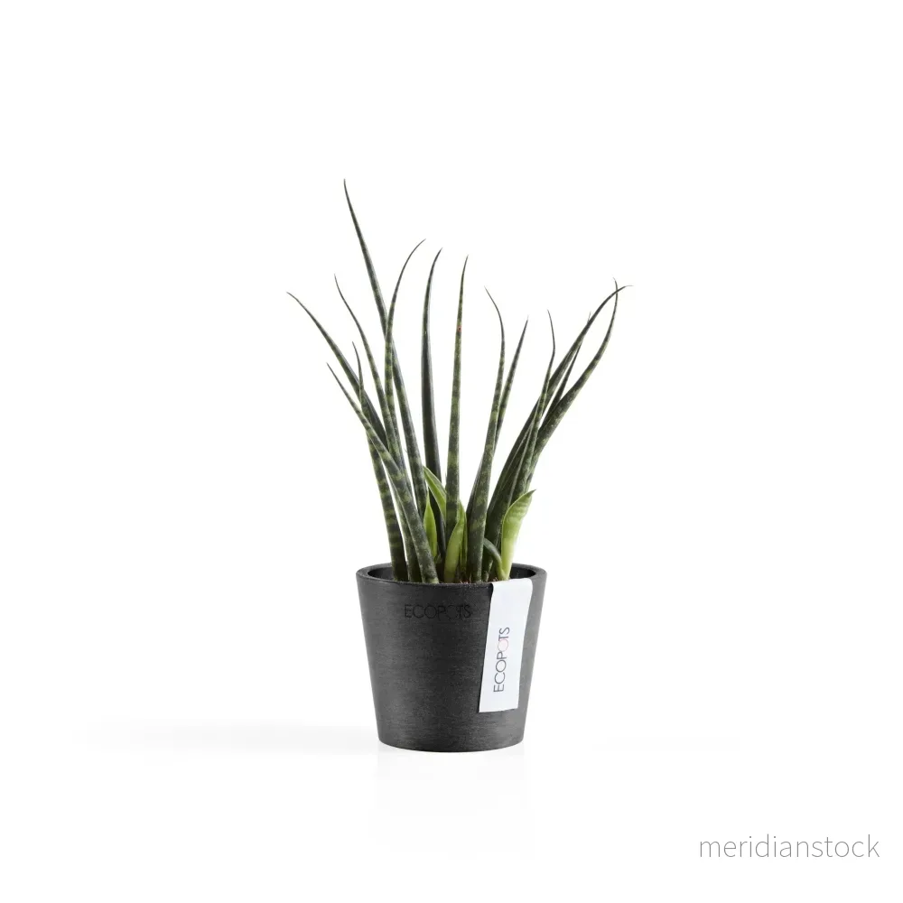 Kruka Amsterdam 8cm mörkgrå