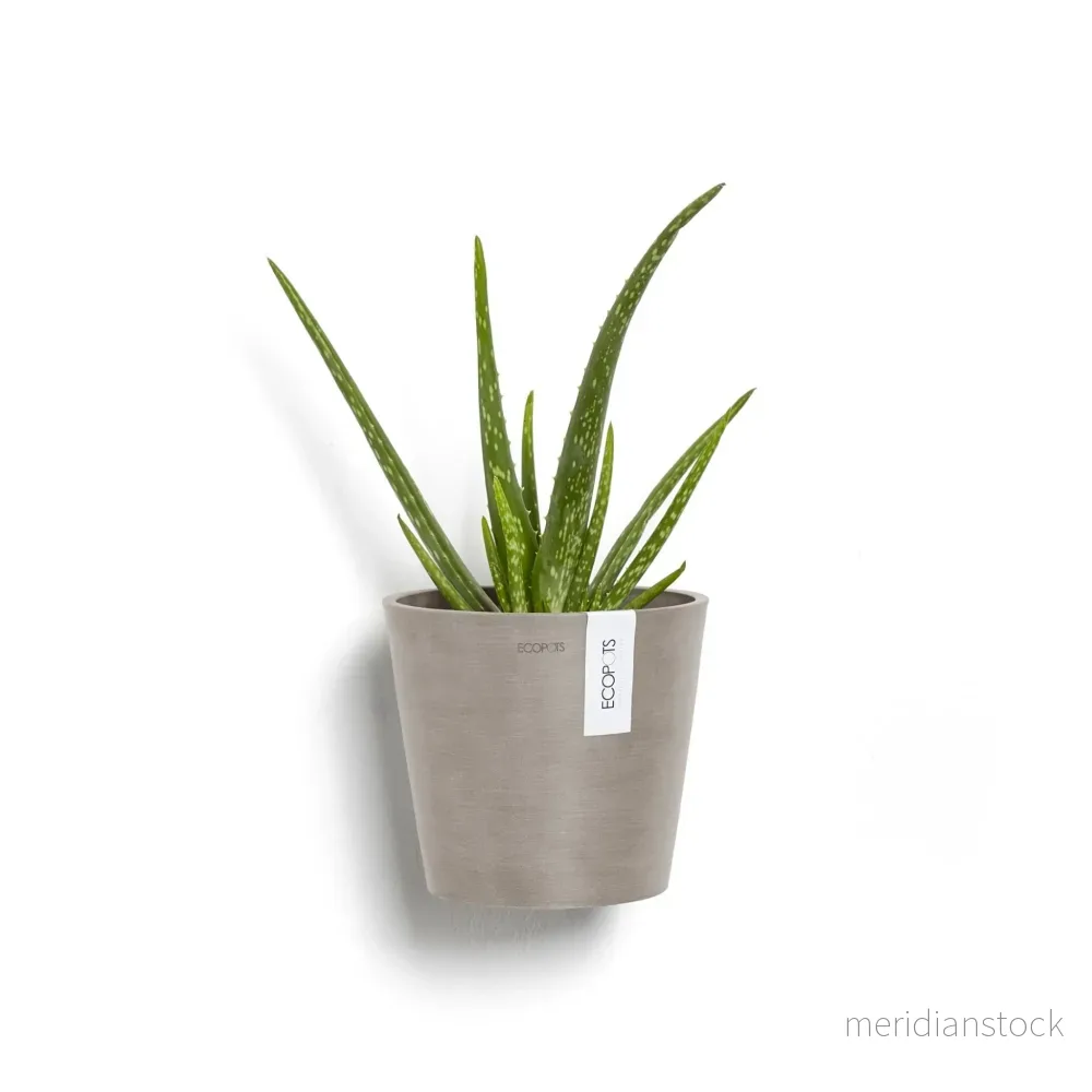 Kruka Amsterdam vägg 20cm taupe - Bild 2